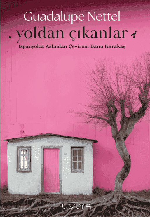 Yoldan Çıkanlar